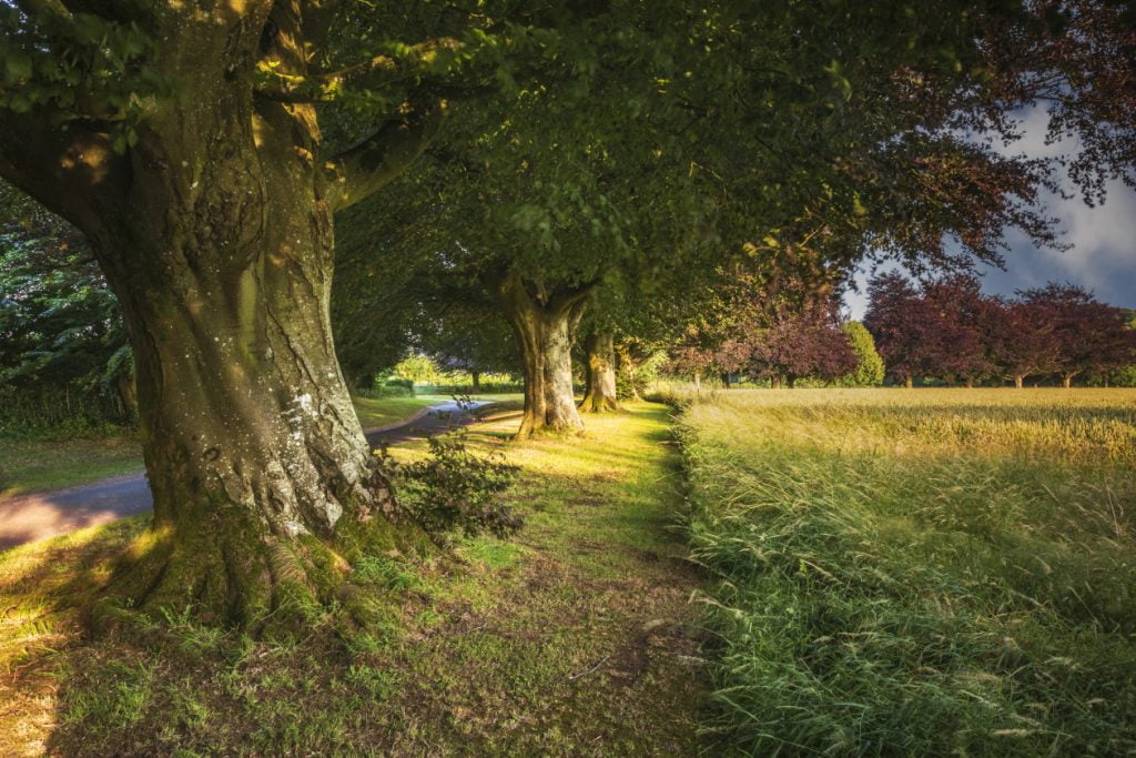 Image Gallery - Images by Steve Gunter